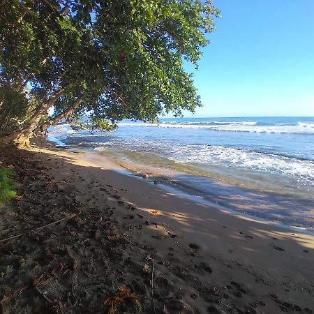 فندق Escape Caribeno Puerto Viejo de Talamanca المظهر الخارجي الصورة