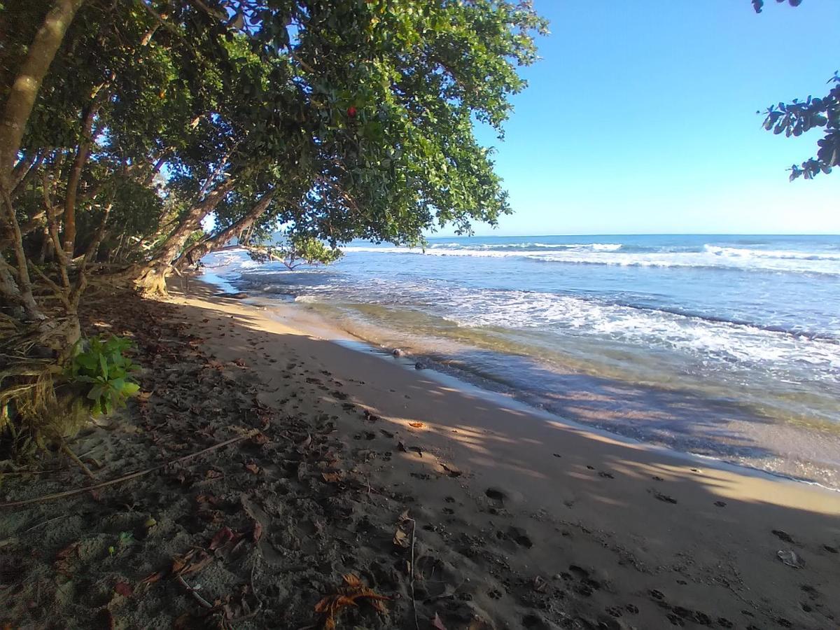 فندق Escape Caribeno Puerto Viejo de Talamanca المظهر الخارجي الصورة
