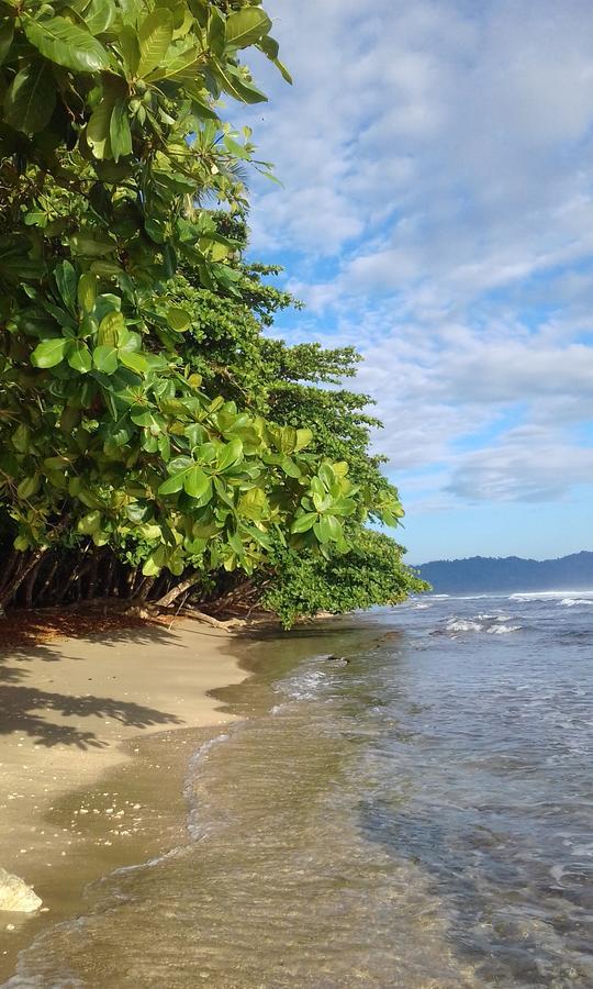 فندق Escape Caribeno Puerto Viejo de Talamanca المظهر الخارجي الصورة