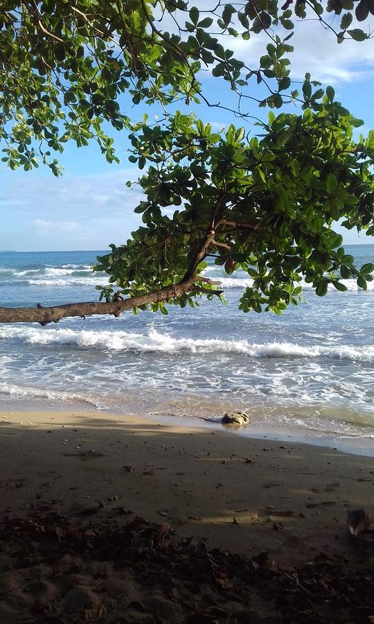 فندق Escape Caribeno Puerto Viejo de Talamanca المظهر الخارجي الصورة